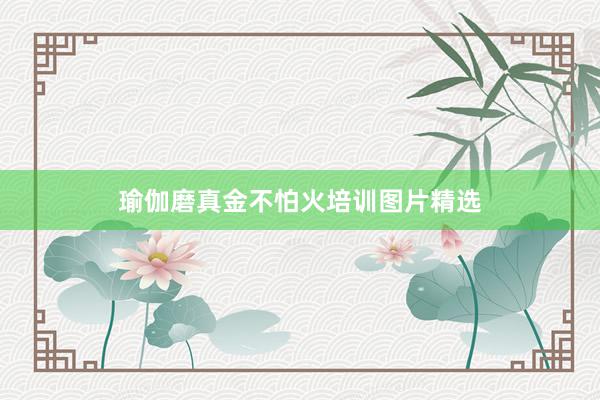 瑜伽磨真金不怕火培训图片精选